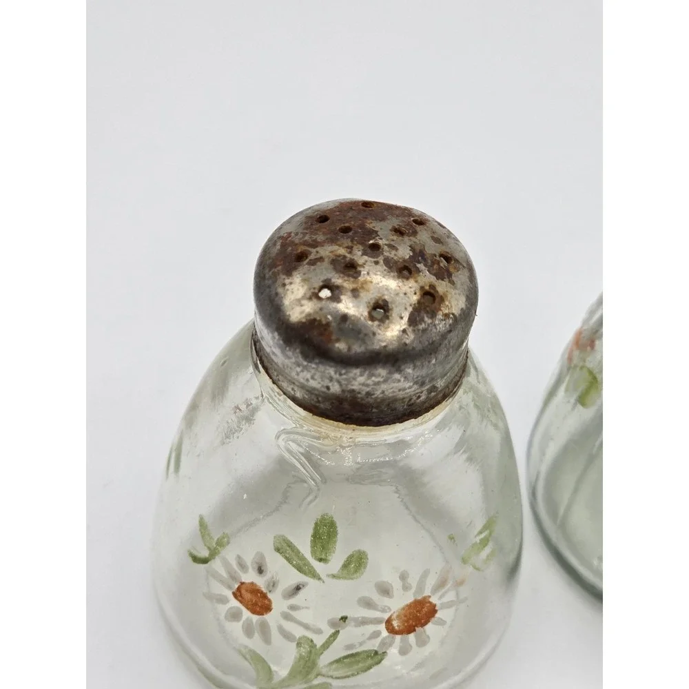 Vintage Hand Painted Daisy Floral Glass salt &‎ pepper shakers